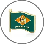 flag pin on costumes