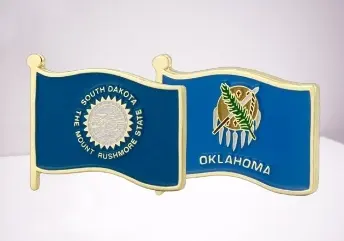 flag pin used to support campaign team