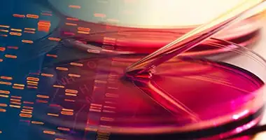 considering the material considering the material