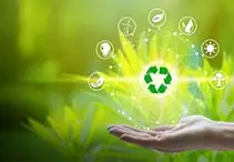 eco friendly and durable