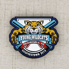 Young Wildcats Baseball Pin