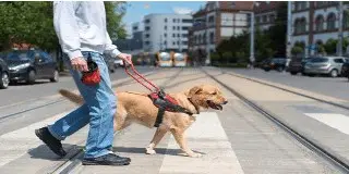 Provide Assistance When Travel