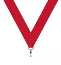 Nylon Ribbons Nylon Ribbons