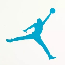 Air Jordan Clear Stickers