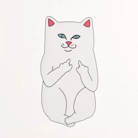Cat Custom Stickers