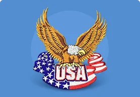 Bald Eagle Embroidery Patches Custom