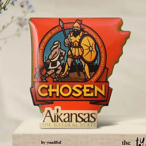 Arkansas Printed Pins