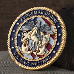 Navy Mustang Challenge Coins