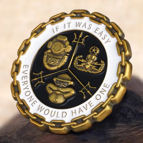 Training Center 3D Army Coins