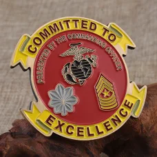 MWSS-172 Firebirds Marine Corps Challenge Coins
