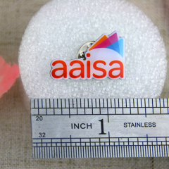 Custom Made Lapel Pins for Aaisa