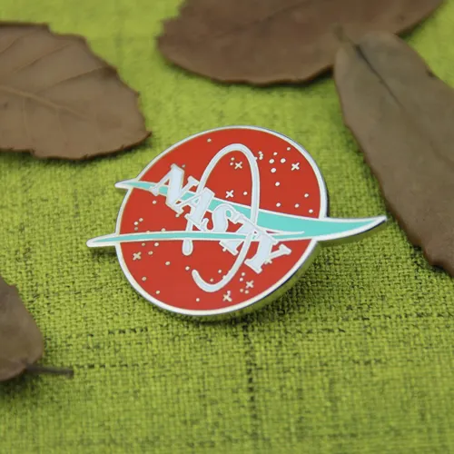 Custom Lapel Pins for Nasty