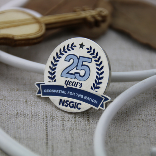 Custom Lapel Pins for NSGIC