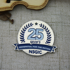 Custom Lapel Pins for NSGIC