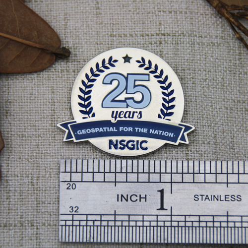 Custom Lapel Pins for NSGIC