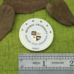 Custom Lapel Pins for University
