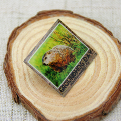 Lapel Pins for Groundhog
