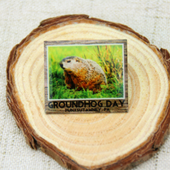 Lapel Pins for Groundhog