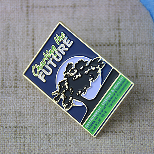 Lapel Pins for Charting the Future