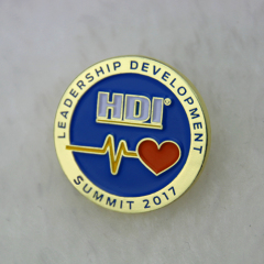 Lapel Pins for HDI