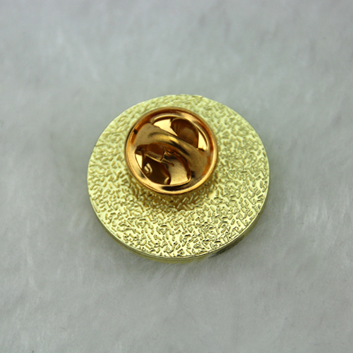 Lapel Pins for HDI