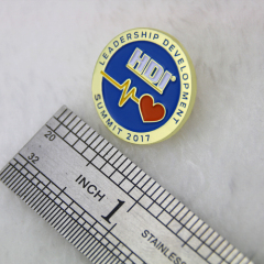 Lapel Pins for HDI