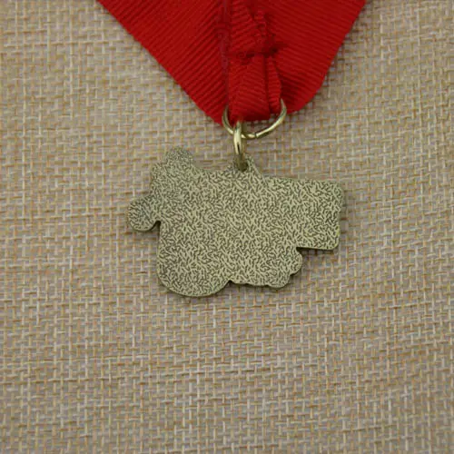 Run for U Custom Medals