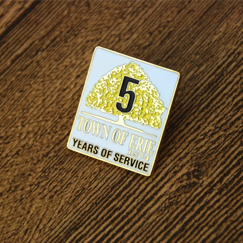 Town of Erie Lapel Pins