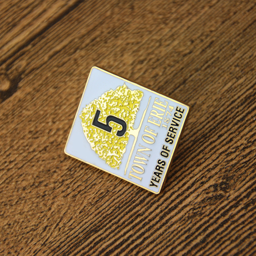Town of Erie Lapel Pins