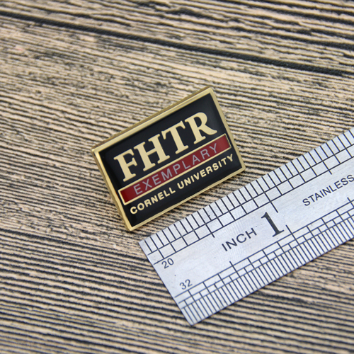  FHTR Lapel Pins