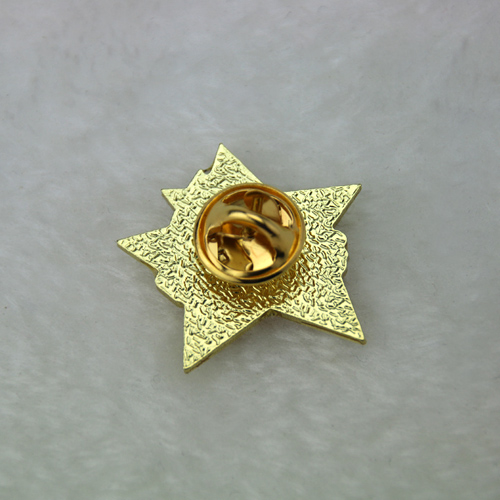 Future Leader Lapel Pins