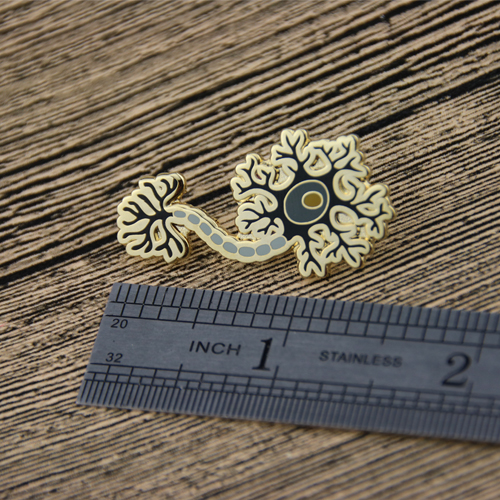 Corals Lapel Pins