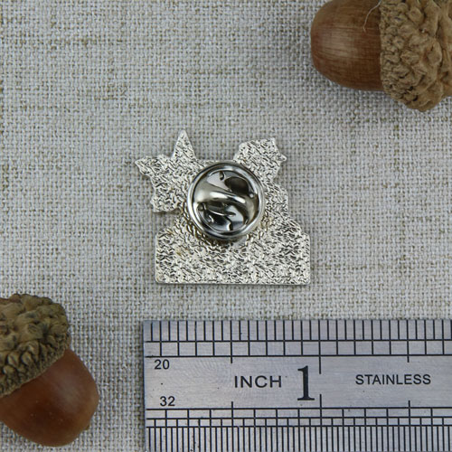 Snowmass Award Pins