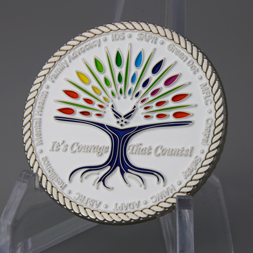 BRAVO ZULU Challenge Coins