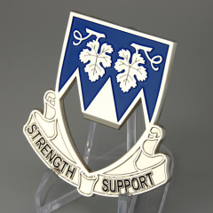 Strength Support Challenge Coins