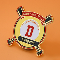 Downers Grove Dragons Baseball Pins