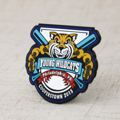 Young Wildcats Baseball Pin