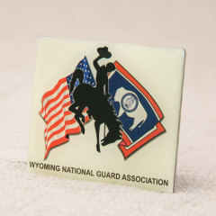 National Guard Association Lapel Pins