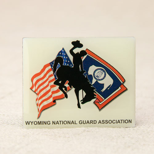 National Guard Association Lapel Pins