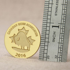 Canadian Bison Association Lapel Pins