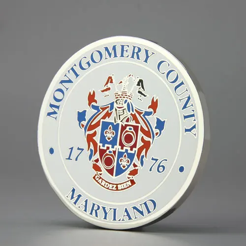 Punishers LEMC Maryland Cheap Challenge Coins