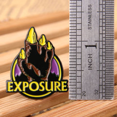 Exposure Lapel Pins