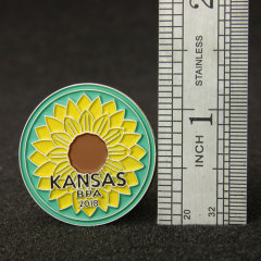 Kansas Lapel Pins 