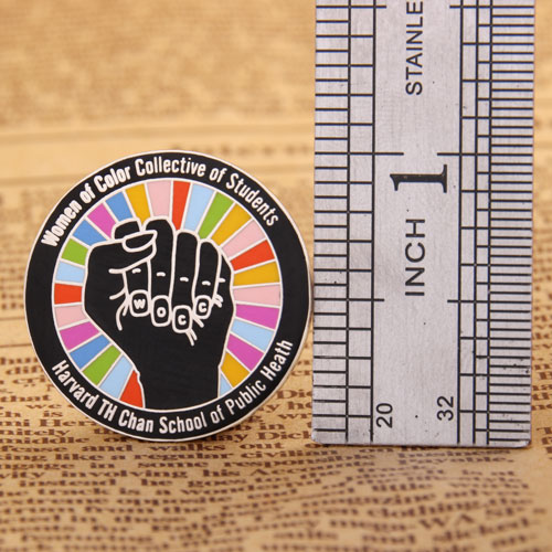 Harvard TH Chan school of public heath lapel pins 