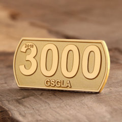 3000 custom lapel pins