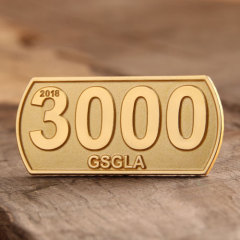 3000 custom lapel pins