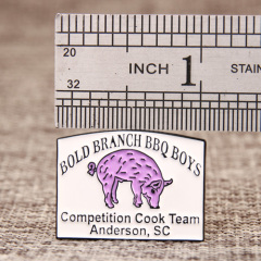 Team custom lapel pins
