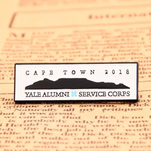 Service corps custom pins Service corps custom pins