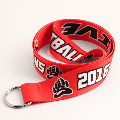 Drive for 5 Best Lanyards