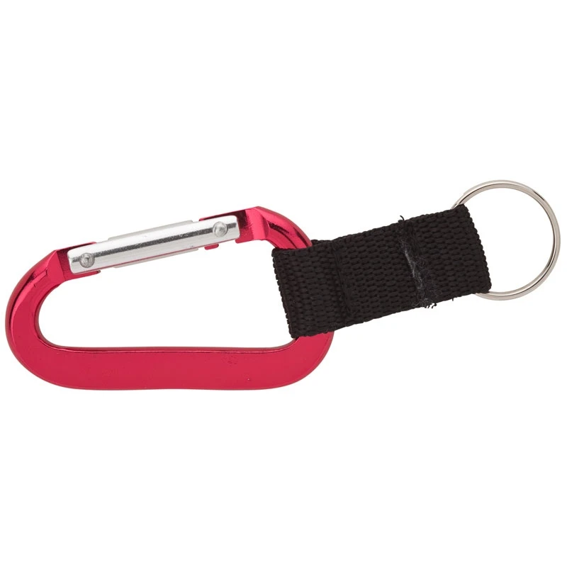Alta Carabiner Keyring